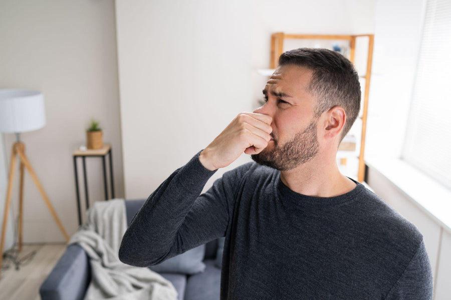 How to Get Rid of Musty Smells in Your Home