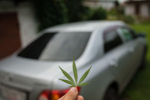 Person holding weed leaf with left hand with car blurred in the background.