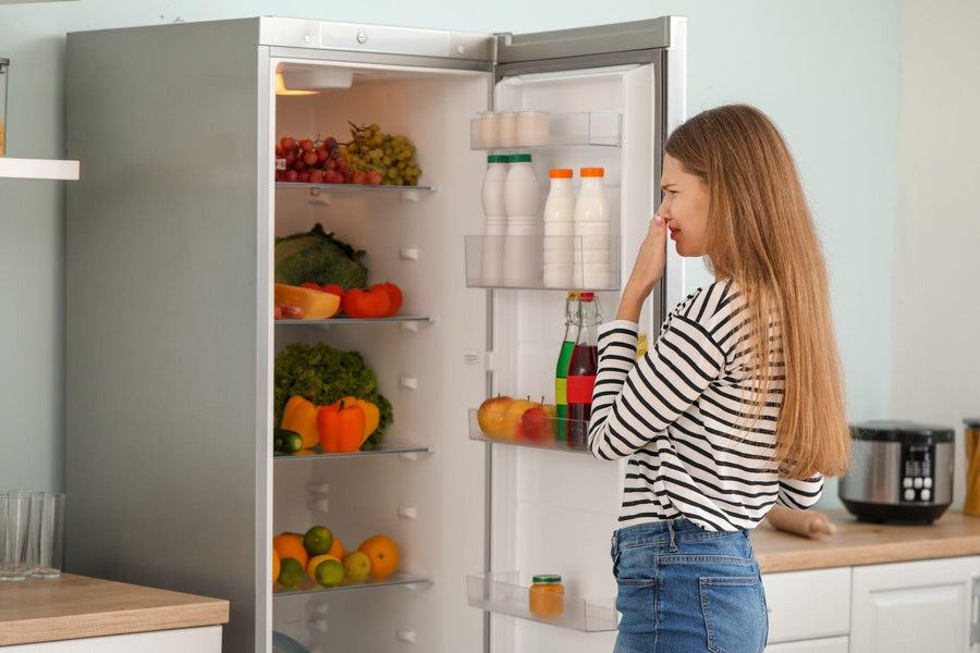 How to Remove Rotten Meat Smell or Odor from the Refrigerator